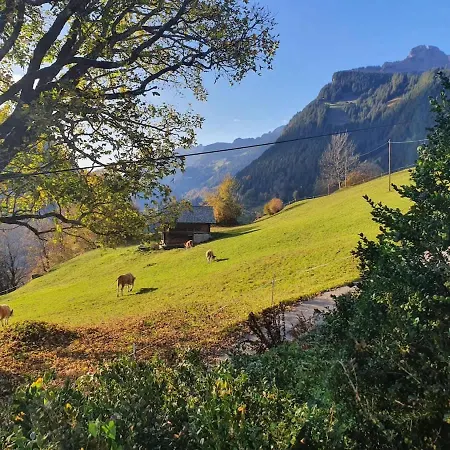 公寓 Surfers Sunset With Jacuzzi & Panoramic Terrace